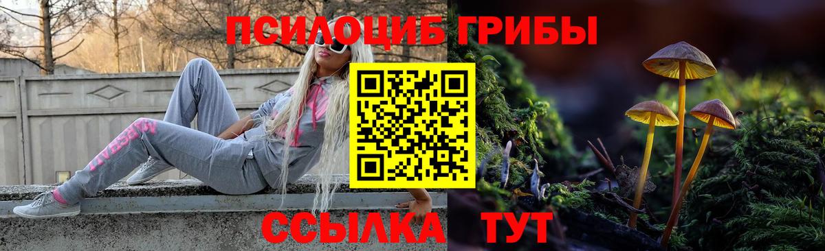 Шебекино  Галлюциногенные грибы прущие грибы  Галлюциногенные грибы ЛСД  Вход с VPN 